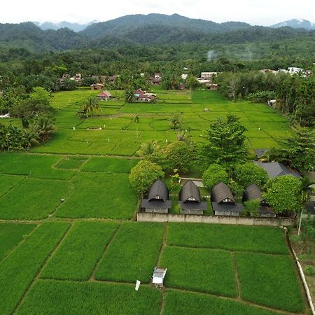 Gino'S Place - Guest House & Jungle Trekking Bukit Lawang Exterior foto