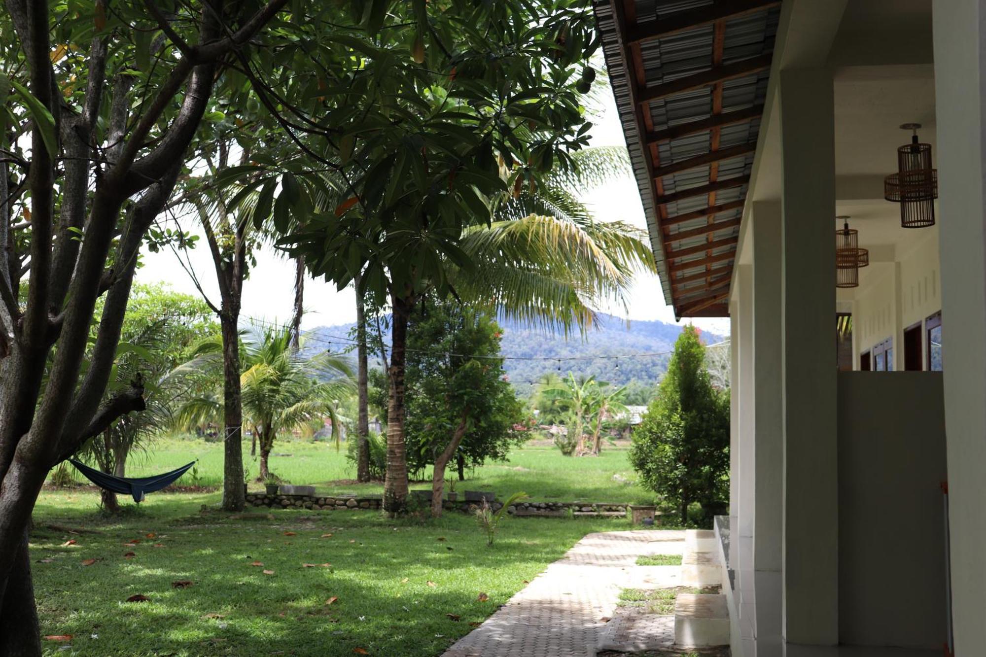 Gino'S Place - Guest House & Jungle Trekking Bukit Lawang Exterior foto