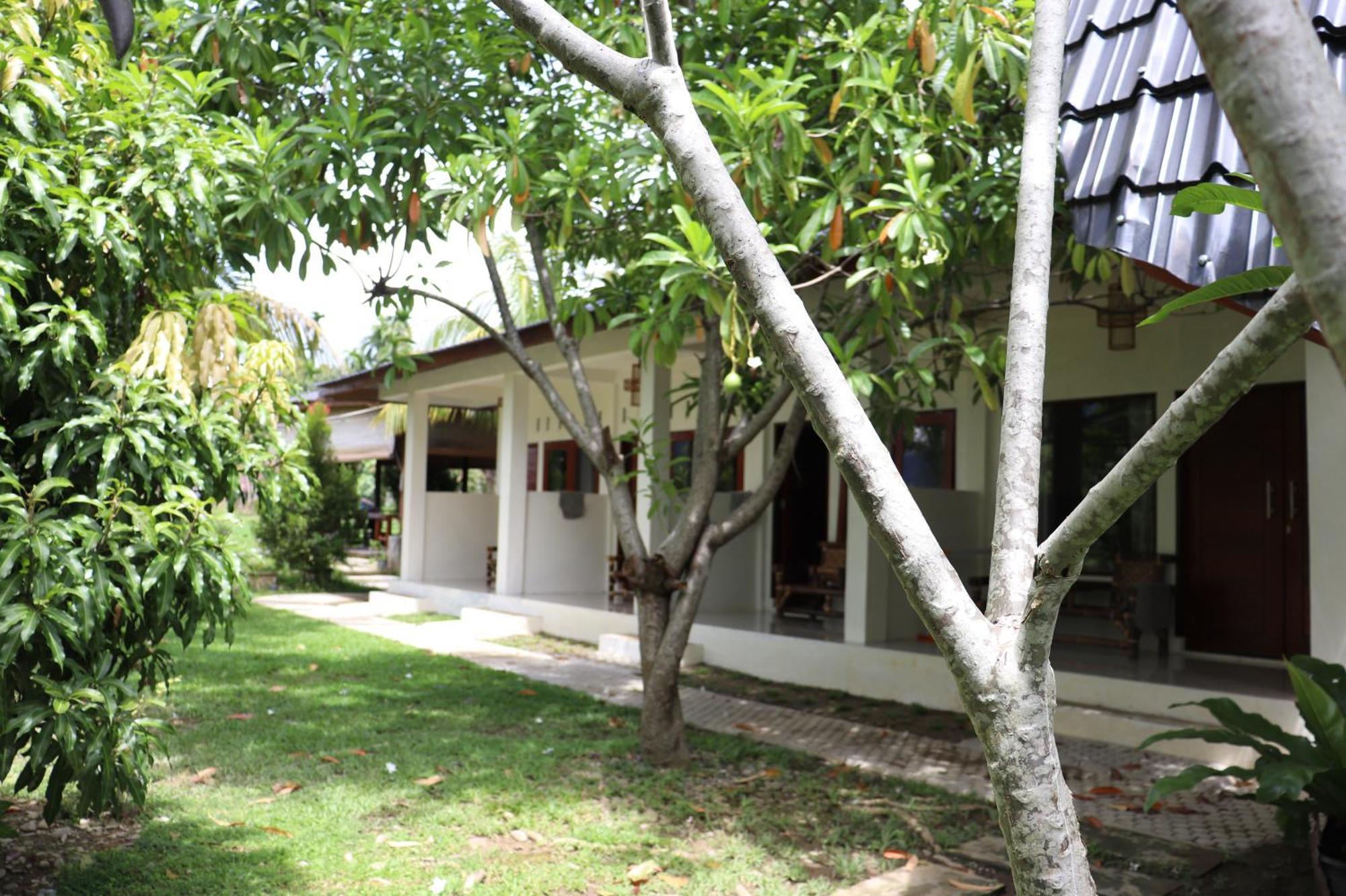 Gino'S Place - Guest House & Jungle Trekking Bukit Lawang Exterior foto