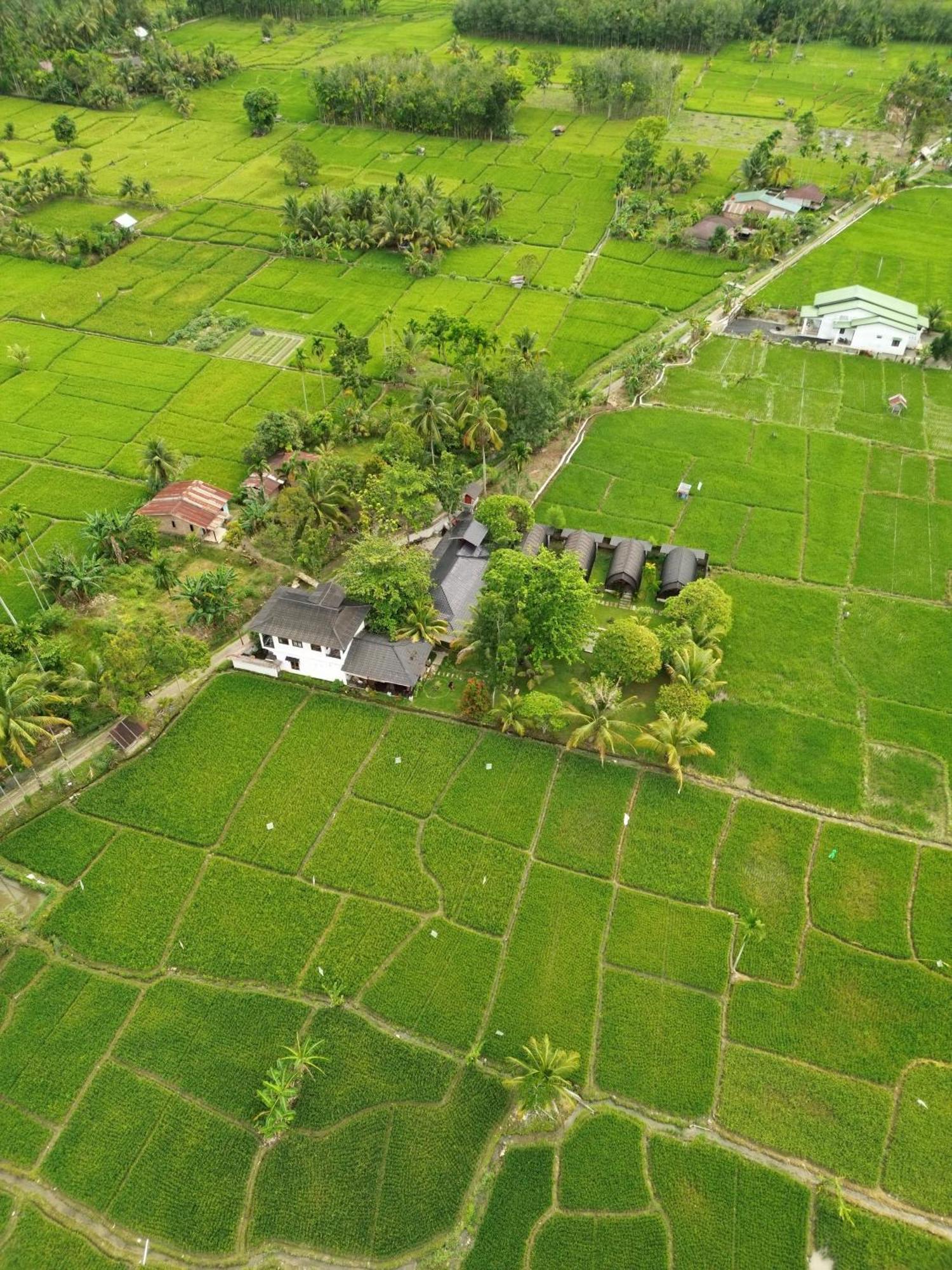 Gino'S Place - Guest House & Jungle Trekking Bukit Lawang Exterior foto